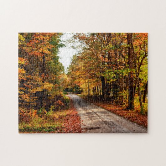 Houten pad met herfstkleuren legpuzzel (Horizontaal)