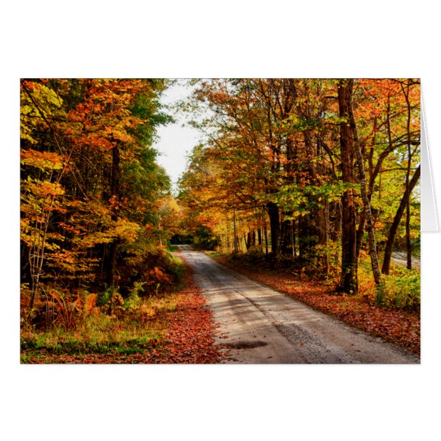 Houten pad met herfstloof (Voorkant Horizontaal)