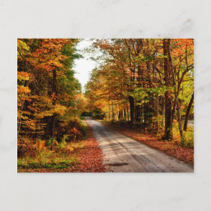 Houten pad met herfstloof briefkaart
