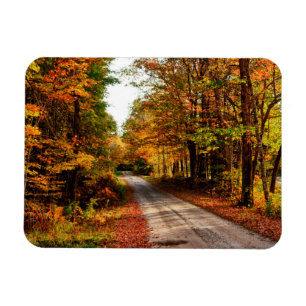 Houten pad met herfstloof magneet