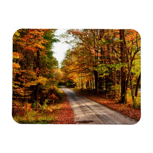 Houten pad met herfstloof magneet (Horizontaal)