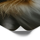 Houten Plank voor een Lapjeskat Perfect Poster (Hoek)