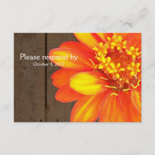 Houten planten, Oranje Zinnia RSVP met enveloppe Kaartje