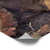 Houten posters (Hoek)