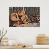 Houten posters (Keuken)