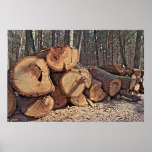 Houten posters