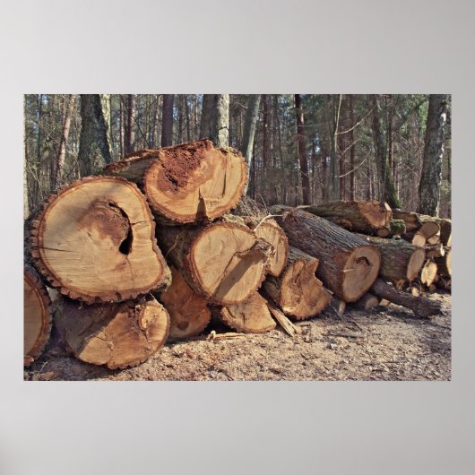 Houten posters (Voorkant)