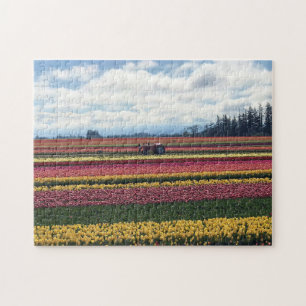 Houten Schoen Tulpenboerderij, Woodburn, Oregon Legpuzzel