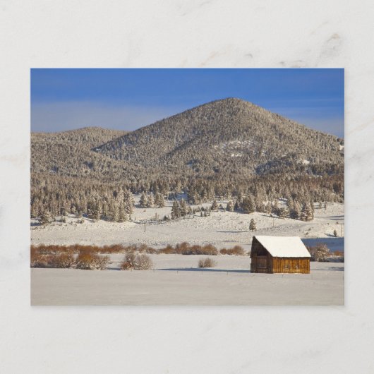 Houten schuur zit in sneeuw bij de Boulder Briefkaart (Voorkant)
