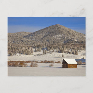 Houten schuur zit in sneeuw bij de Boulder Briefkaart