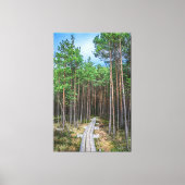 Houten spoor in dennenbos canvas afdruk (Voorkant)