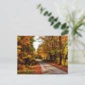 Houten spoor met herfst foliën briefkaart (Staand voorkant)
