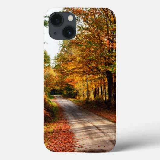 Houten spoor met herfst foliën Case-Mate iPhone case (Achterkant)