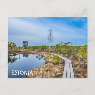 Houten spoor over moeras in Estland Briefkaart