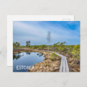 Houten spoor over moeras in Estland Briefkaart (Voorkant / Achterkant)