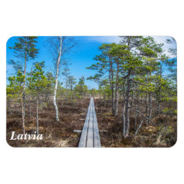 Houten spoor over moerasmagneet magneet