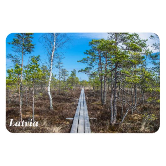 Houten spoor over moerasmagneet magneet (Horizontaal)