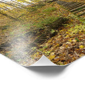 Houten Stairs in een State Park Foto Afdruk (Hoek)