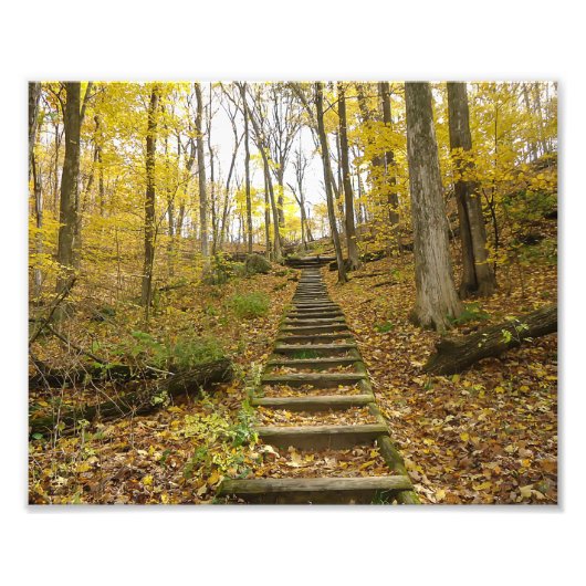 Houten Stairs in een State Park Foto Afdruk (Voorkant)