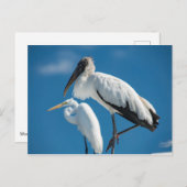 Houten Stork Briefkaart (Voorkant / Achterkant)