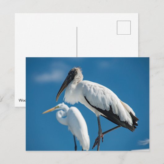 Houten Stork Briefkaart (Voorkant / Achterkant)
