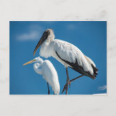 Houten Stork Briefkaart (Voorkant)