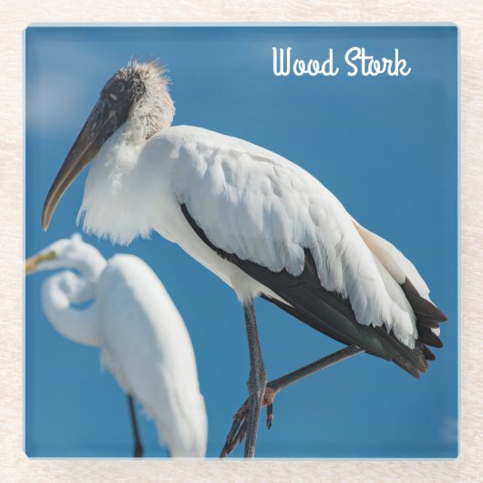Houten Stork Glazen Onderzetter (Voorkant)