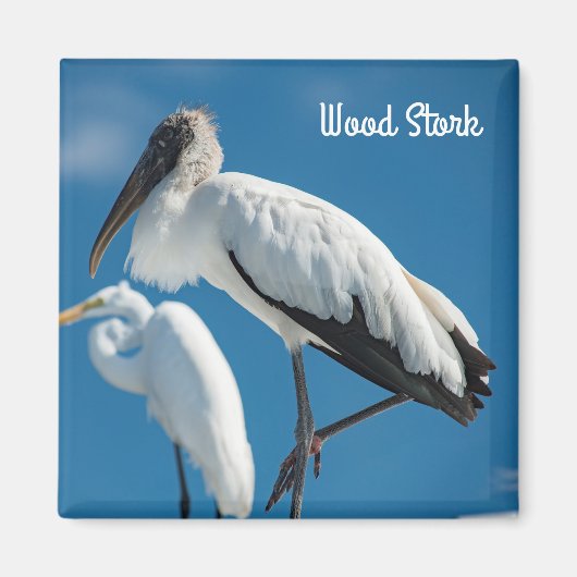 Houten Stork Magneet (Voorkant)