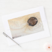 Houten textuur rechthoekige sticker (Envelop)
