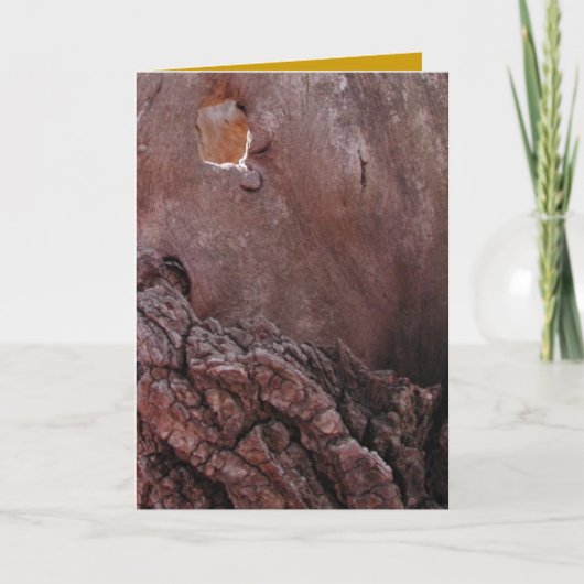 Houten tranen kaart (Voorkant)