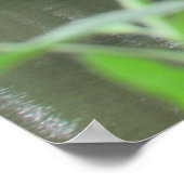 Houten voetbrug poster (Hoek)