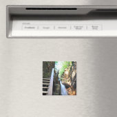 Houten Walkway Waterfall Flume Gorge NH Magnet (Insitu (Vaatwasser))