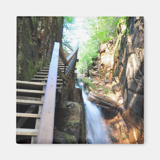 Houten Walkway Waterfall Flume Gorge NH Magnet (Voorkant)