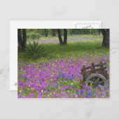 Houten winkelwagentje in het veld Phlox, Blue Bonn Briefkaart (Voorkant / Achterkant)