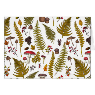 Houtflora en fauna 2