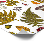 Houtflora en fauna 2 poster (Hoek)