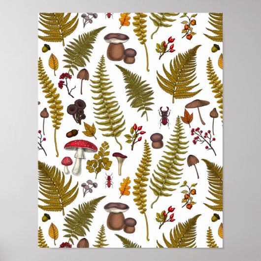 Houtflora en fauna 2 poster (Voorkant)