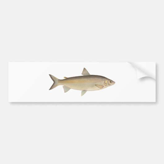 Houting Bumpersticker (Voorkant)