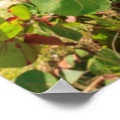 Houtkatten met meerdere kleuren | Lange band Poster (Hoek)