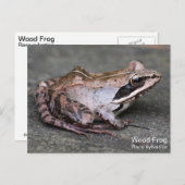 Houtkikker Briefkaart (Voorkant / Achterkant)