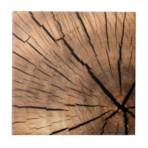 Houtlogboek Tegeltje