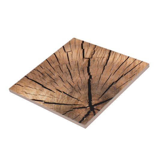 Houtlogboek Tegeltje (Zijkant)