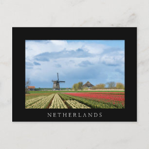 Houtmolen en tulpen briefkaart