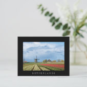 Houtmolen en tulpen briefkaart (Staand voorkant)