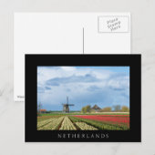 Houtmolen en tulpen briefkaart (Voorkant / Achterkant)