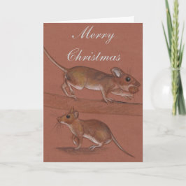 Houtmuizen Britse Wildlife Kerstkaarten Feestdagen Kaart