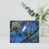 Houtooievaar in het wild St. Augustine, Florida Feestdagenkaart (Staand voorkant)