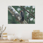 Houtpikker Poster (Keuken)