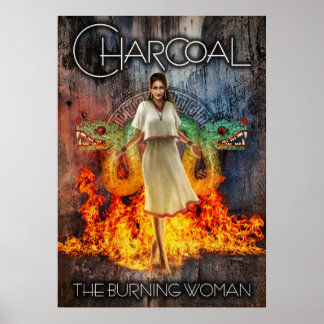 houtskool: maiden poster