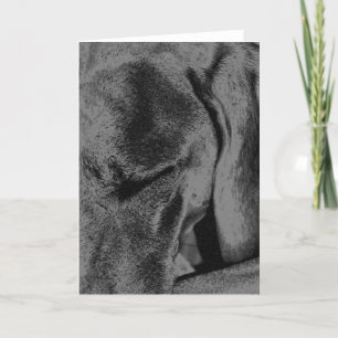 Houtskool Ruka Kaart